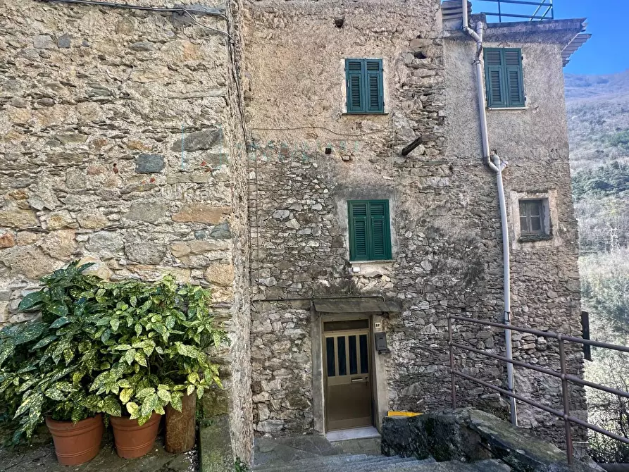 Immagine 35 di Rustico / casale in vendita  in Via Panizzara a Erli