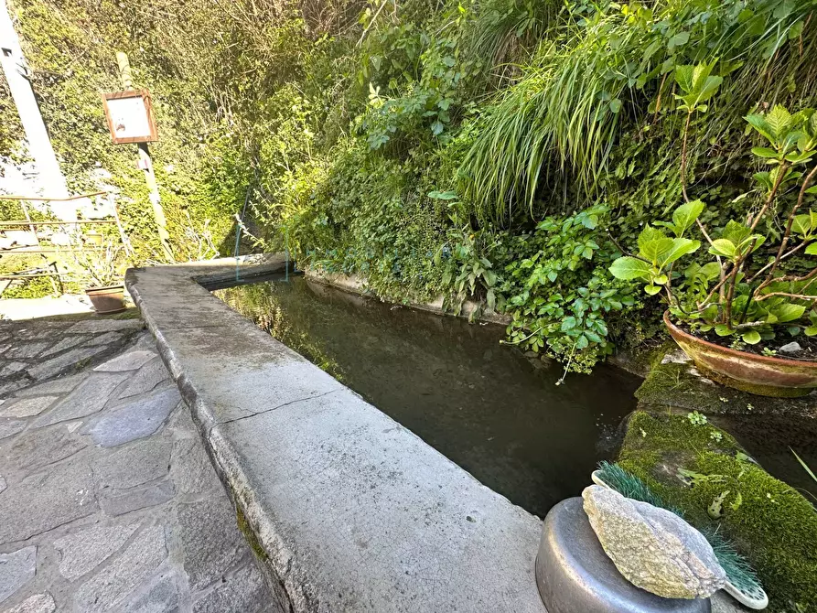 Immagine 39 di Rustico / casale in vendita  in Via Panizzara a Erli