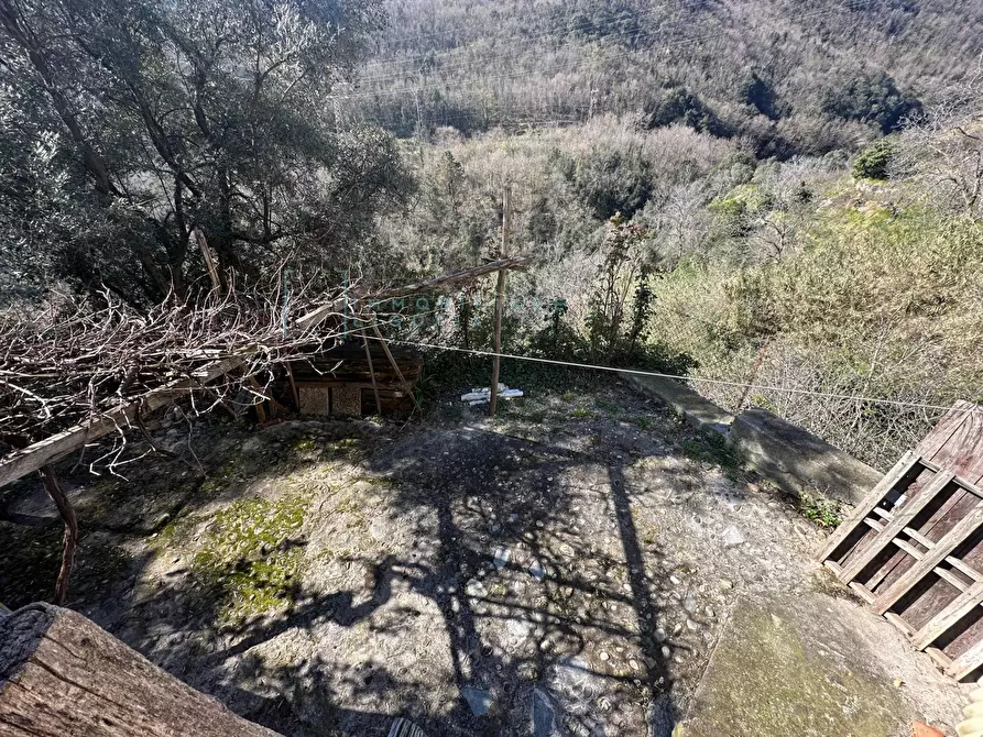 Immagine 4 di Rustico / casale in vendita  in Via Panizzara a Erli