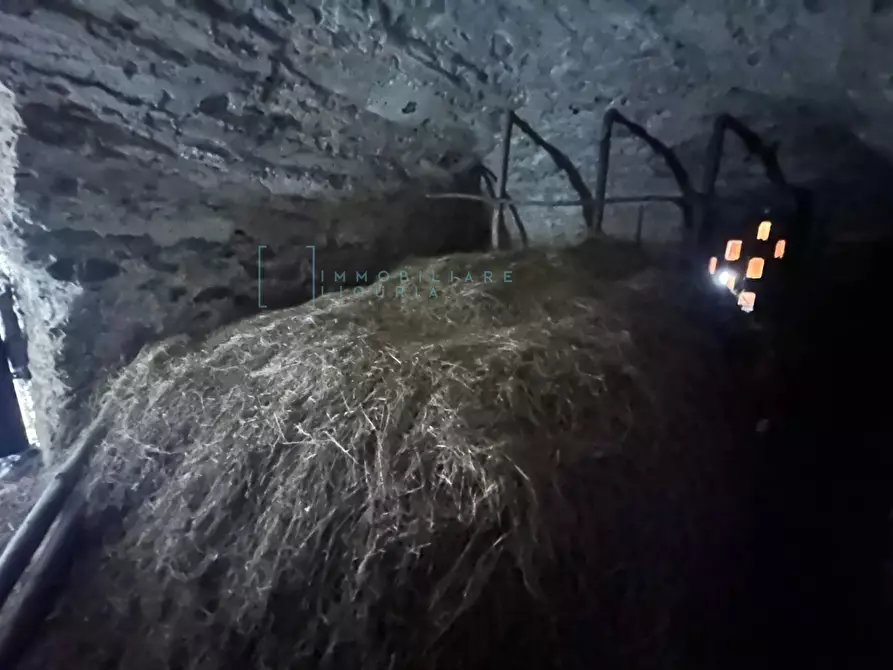 Immagine 37 di Rustico / casale in vendita  in Via Panizzara a Erli