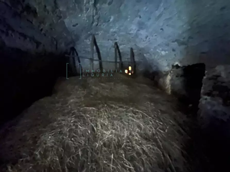 Immagine 38 di Rustico / casale in vendita  in Via Panizzara a Erli