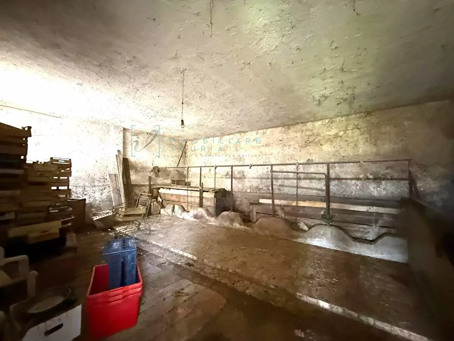 Immagine 12 di Rustico / casale in vendita  in via 25 aprile muzio a Borghetto D'arroscia