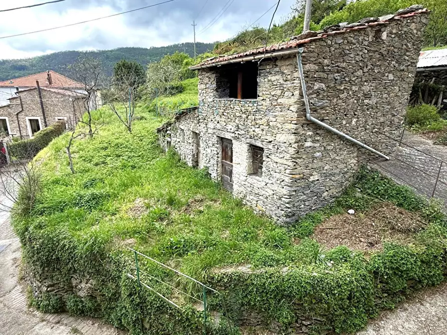Immagine 18 di Casa indipendente in vendita  in via 8 settembre gavenola a Borghetto D'arroscia