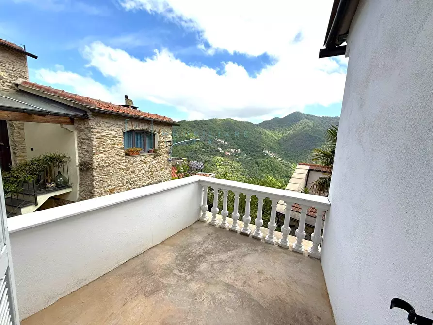 Immagine 29 di Rustico / casale in vendita  in Borgata Ubaga Costa a Borghetto D'arroscia