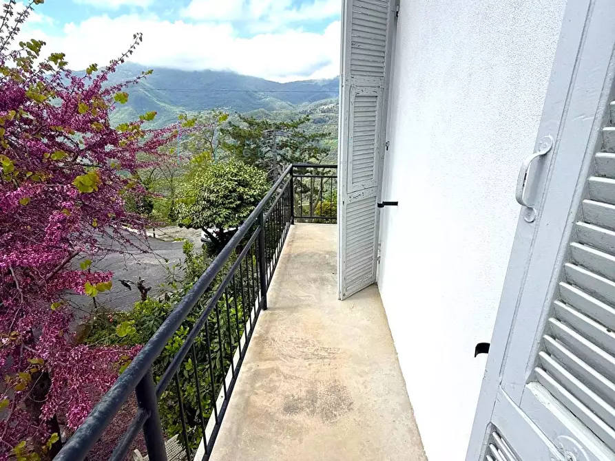 Immagine 32 di Rustico / casale in vendita  in Borgata Ubaga Costa a Borghetto D'arroscia