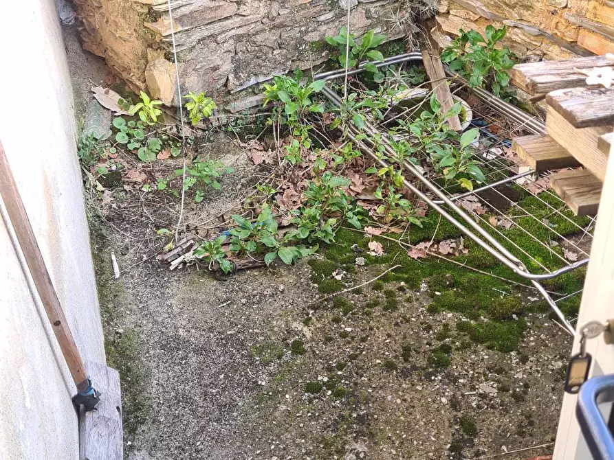 Immagine 23 di Rustico / casale in vendita  in Borgata Comparati a Casanova Lerrone