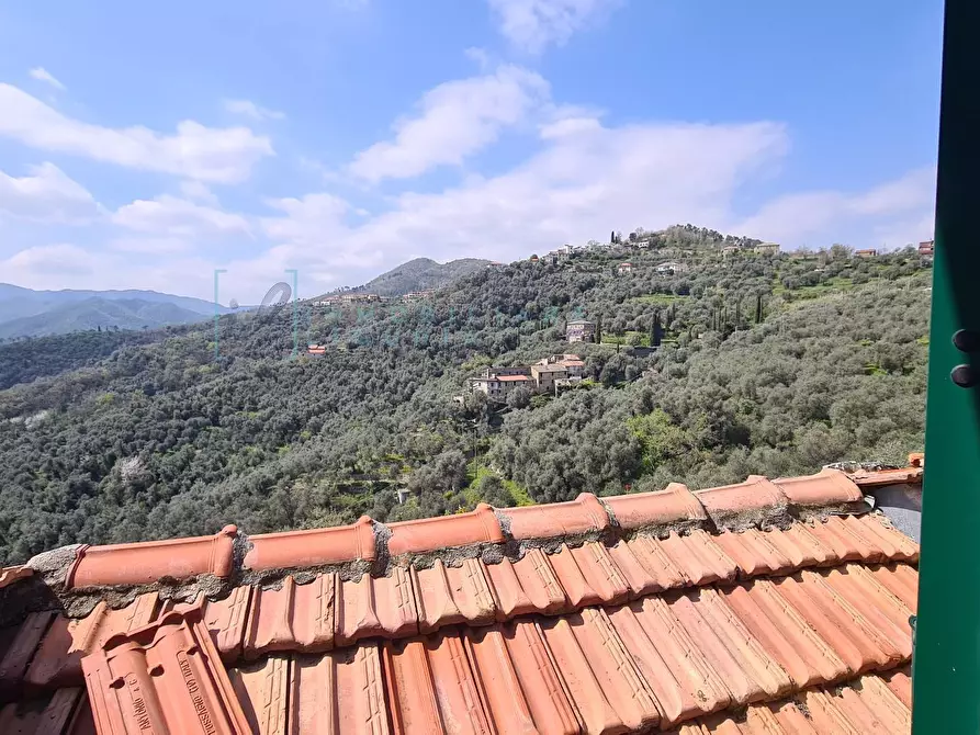 Immagine 36 di Rustico / casale in vendita  in Borgata Comparati a Casanova Lerrone