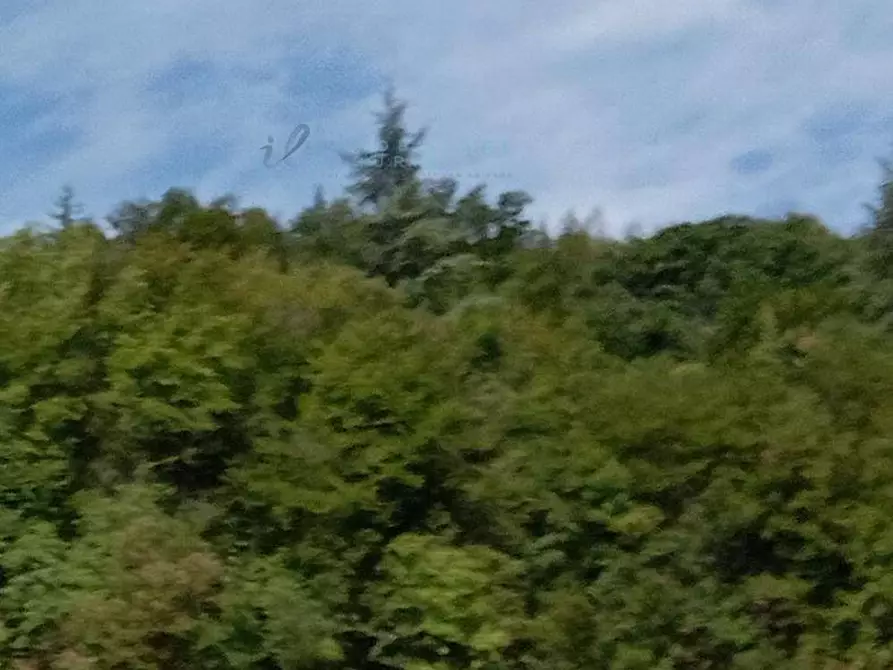 Immagine 3 di Casa indipendente in vendita  in frazione cerisola villa chiesa a Garessio