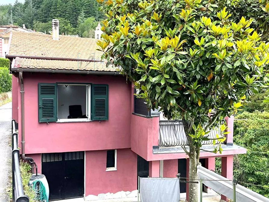 Immagine 5 di Rustico / casale in vendita  in Frazione Ubaga Villa a Borghetto D'arroscia