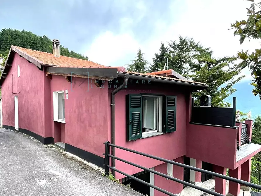 Immagine 2 di Rustico / casale in vendita  in Frazione Ubaga Villa a Borghetto D'arroscia