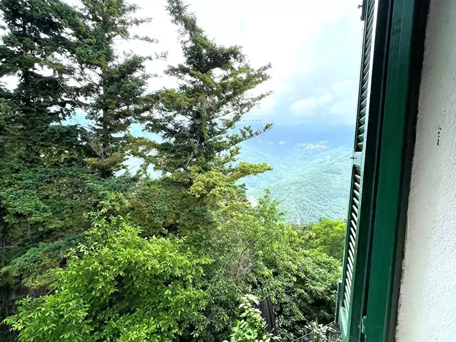 Immagine 31 di Rustico / casale in vendita  in Frazione Ubaga Villa a Borghetto D'arroscia