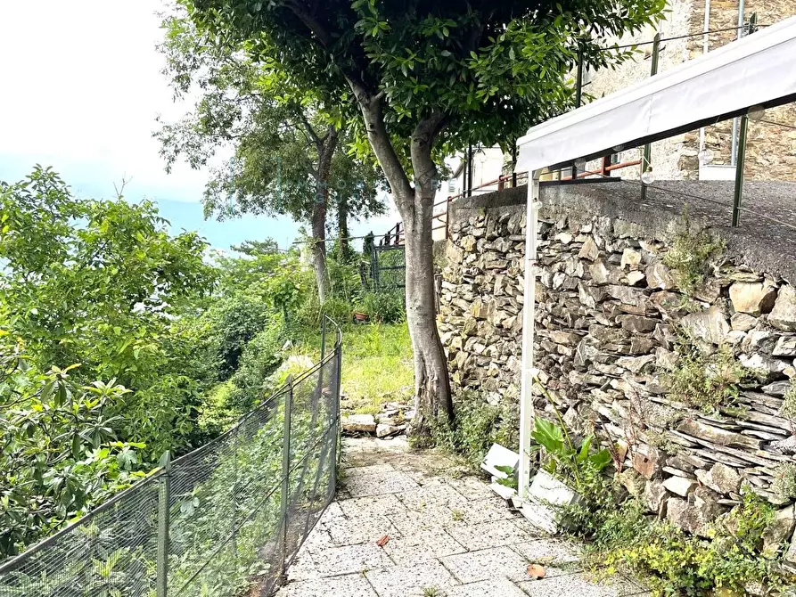 Immagine 44 di Rustico / casale in vendita  in Frazione Ubaga Villa a Borghetto D'arroscia