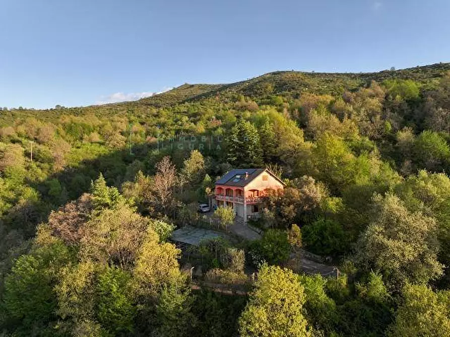 Immagine 2 di Casa indipendente in vendita  in Strada provinciale 21 a Aurigo