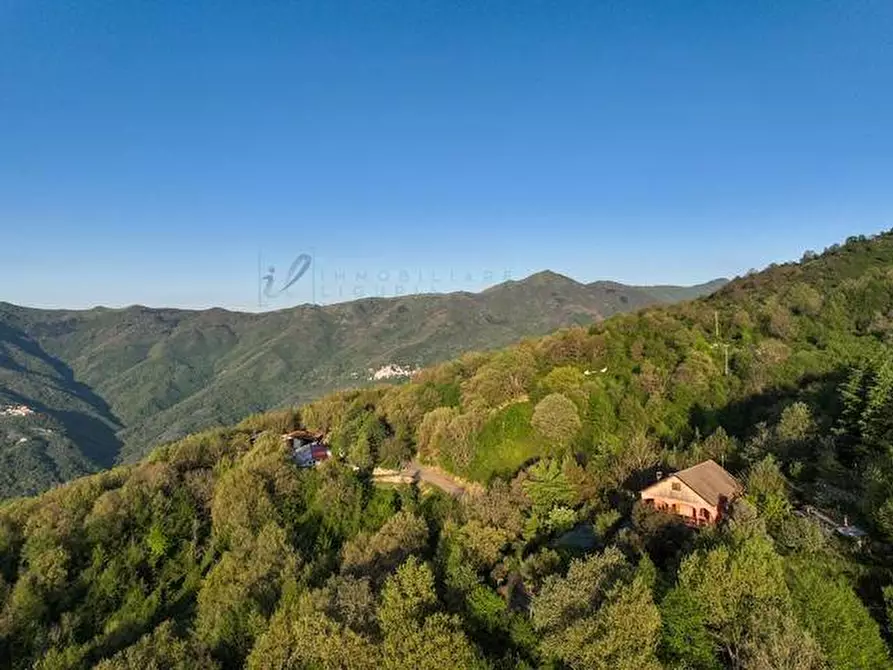 Immagine 22 di Casa indipendente in vendita  in Strada provinciale 21 a Aurigo