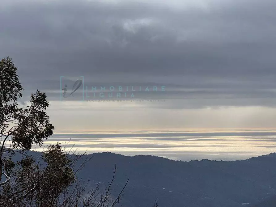 Immagine 32 di Casa indipendente in vendita  in Strada provinciale 21 a Aurigo