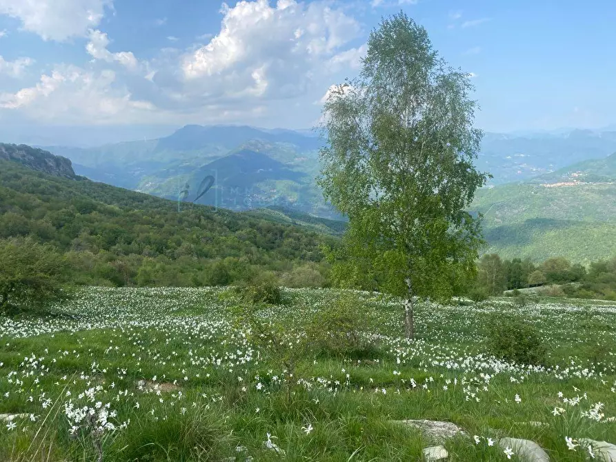 Immagine 33 di Casa indipendente in vendita  in Strada provinciale 21 a Aurigo