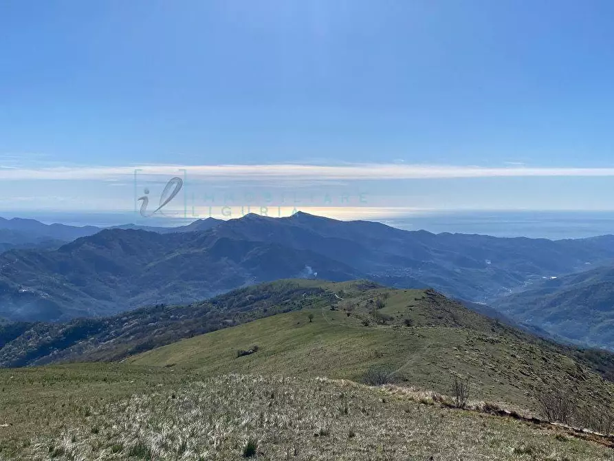 Immagine 34 di Casa indipendente in vendita  in Strada provinciale 21 a Aurigo