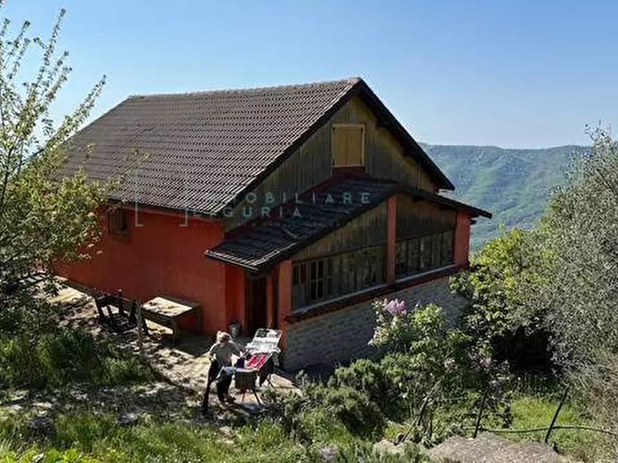 Immagine 24 di Casa indipendente in vendita  in Strada provinciale 21 a Aurigo