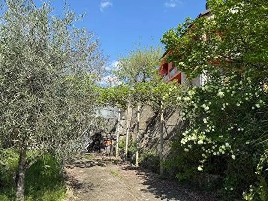 Immagine 26 di Casa indipendente in vendita  in Strada provinciale 21 a Aurigo