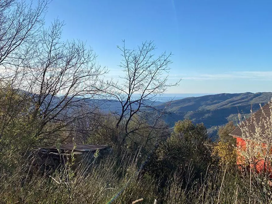 Immagine 35 di Casa indipendente in vendita  in Strada provinciale 21 a Aurigo