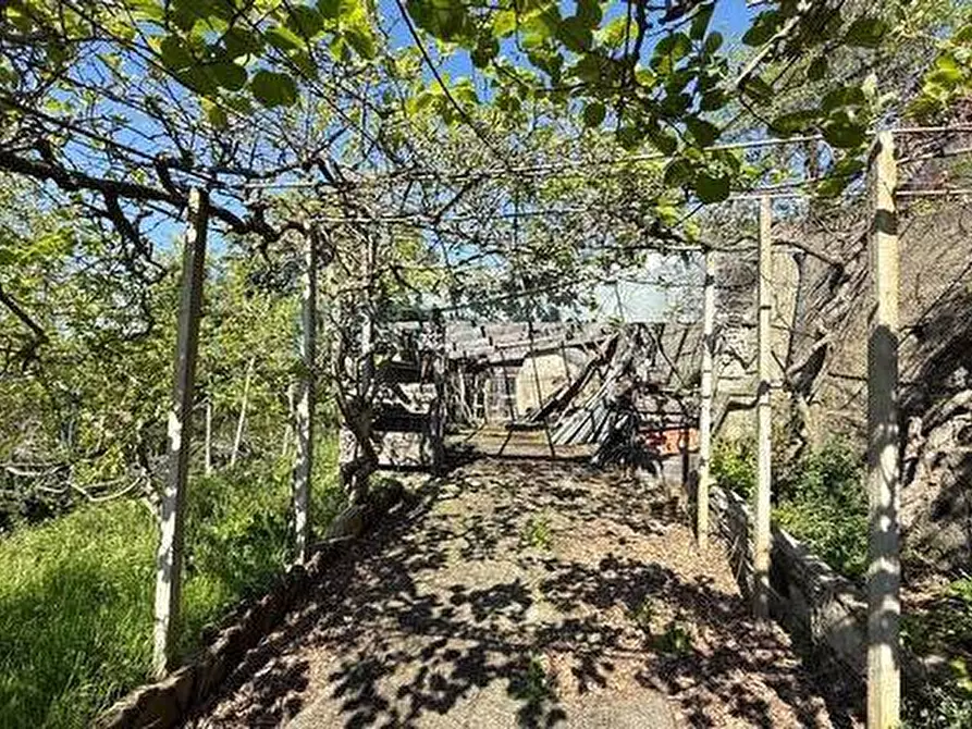 Immagine 28 di Casa indipendente in vendita  in Strada provinciale 21 a Aurigo