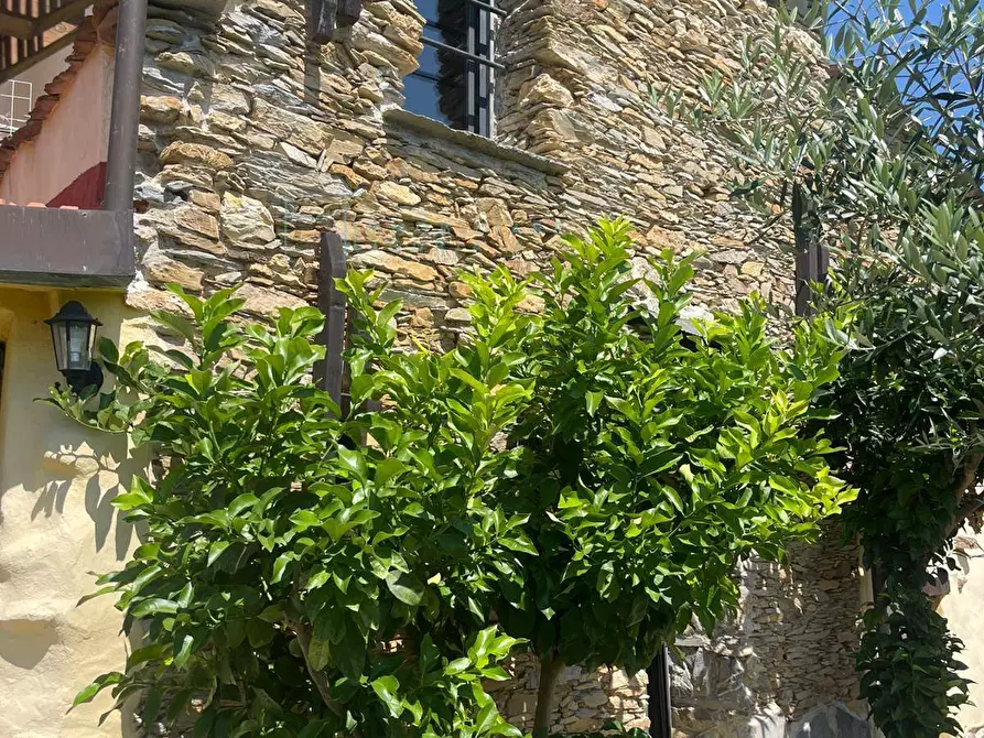 Immagine 15 di Rustico / casale in vendita  in Via Per acquila a Borghetto D'arroscia