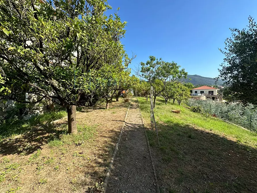 Immagine 15 di Casa semindipendente in vendita  in via capae a Boissano