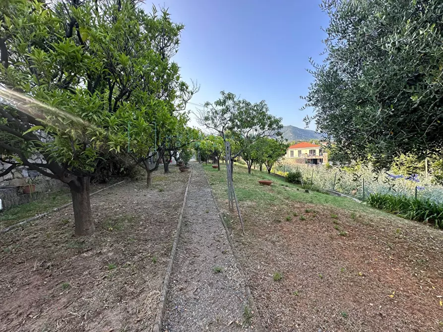 Immagine 39 di Casa semindipendente in vendita  in via capae a Boissano