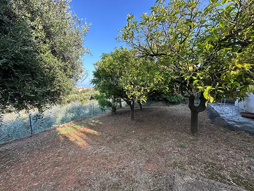 Immagine 43 di Casa semindipendente in vendita  in via capae a Boissano