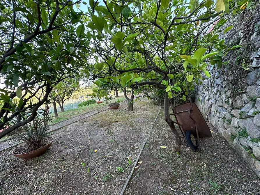 Immagine 48 di Casa semindipendente in vendita  in via capae a Boissano