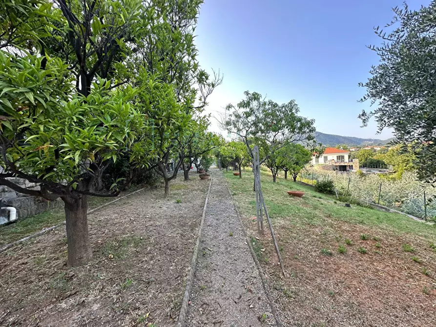 Immagine 49 di Casa semindipendente in vendita  in via capae a Boissano