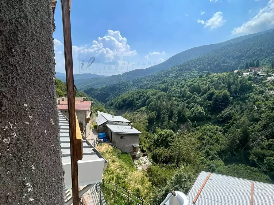 Immagine 14 di Rustico / casale in vendita  in Via del mulino 12 a Briga Alta