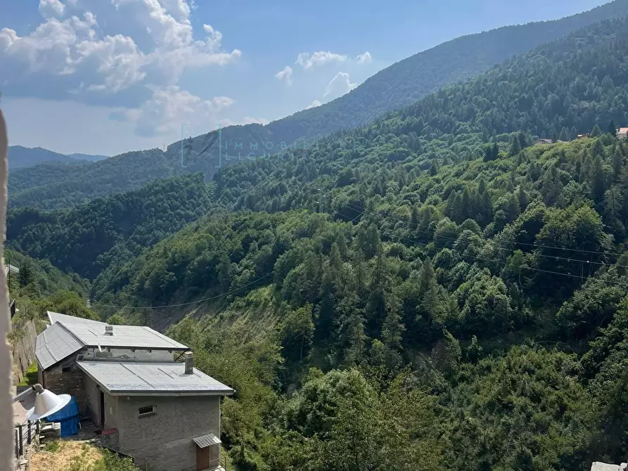 Immagine 23 di Rustico / casale in vendita  in Via del mulino 12 a Briga Alta