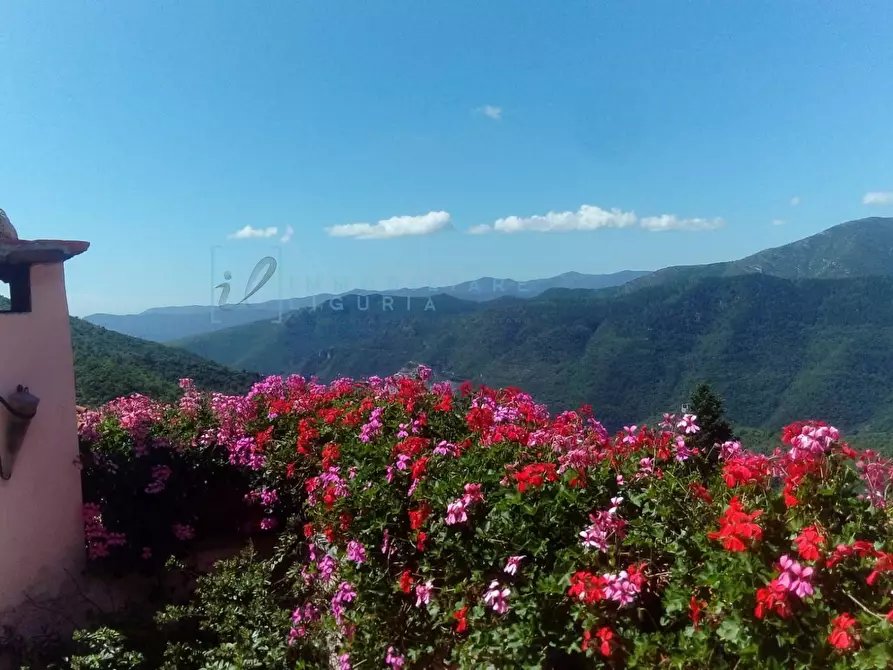 Immagine 49 di Rustico / casale in vendita  in Via Maggiore a Castelvecchio Di Rocca Barbena