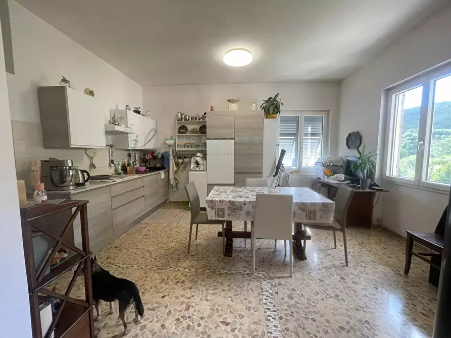 Immagine 6 di Casa indipendente in vendita  in Via Ville San Pietro a Borgomaro