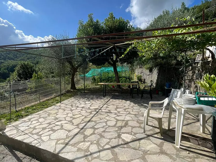Immagine 16 di Casa indipendente in vendita  in Via Ville San Pietro a Borgomaro