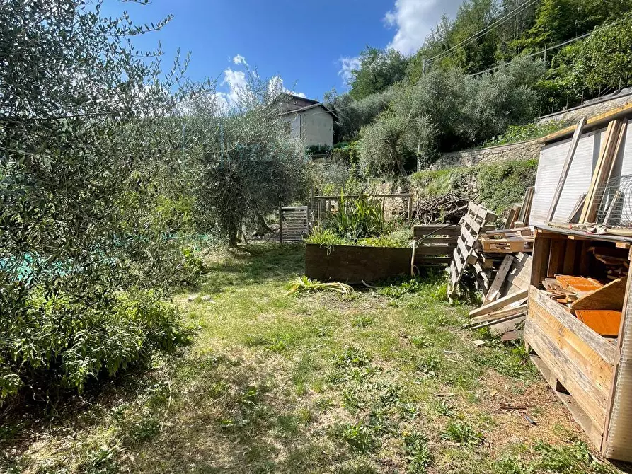 Immagine 17 di Casa indipendente in vendita  in Via Ville San Pietro a Borgomaro