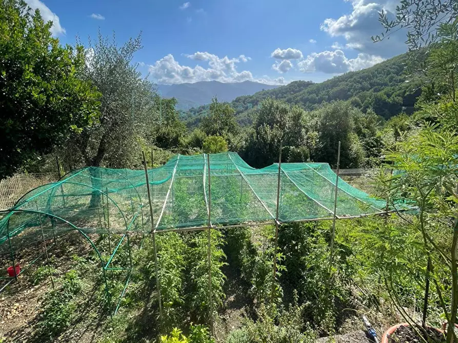 Immagine 18 di Casa indipendente in vendita  in Via Ville San Pietro a Borgomaro