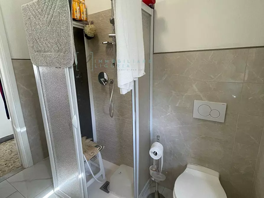 Immagine 38 di Casa indipendente in vendita  in Via Ville San Pietro a Borgomaro