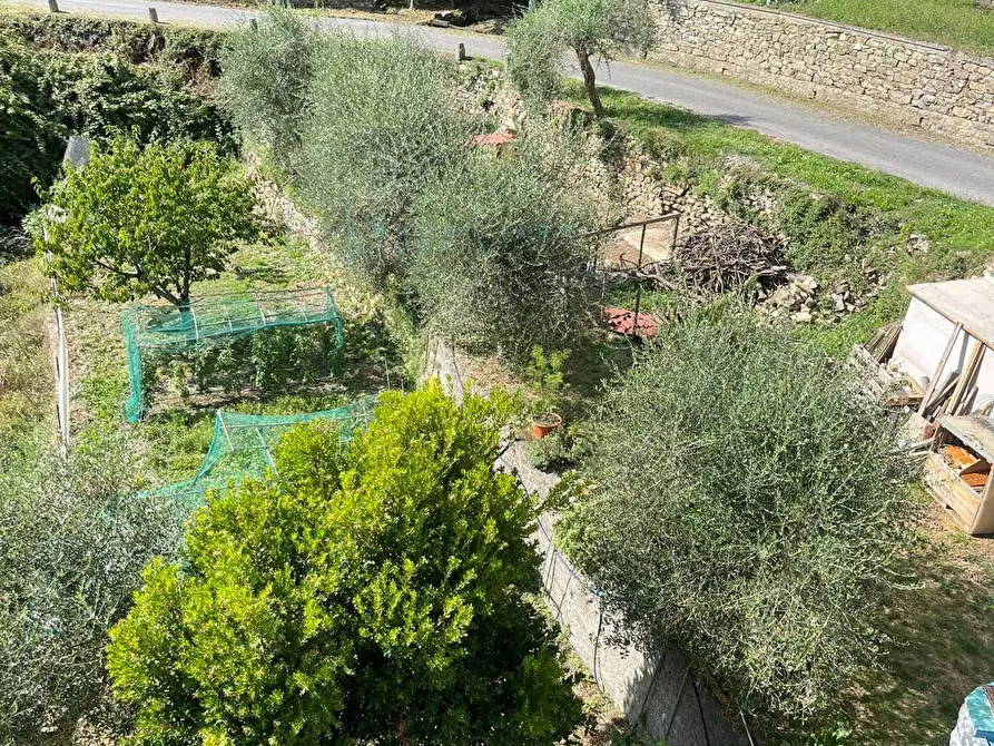 Immagine 43 di Casa indipendente in vendita  in Via Ville San Pietro a Borgomaro