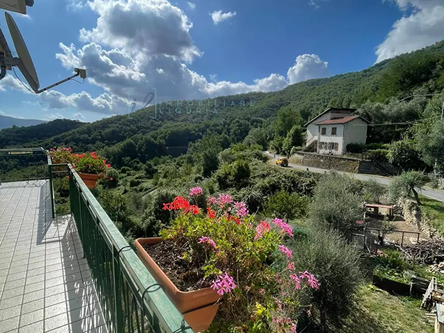 Immagine 44 di Casa indipendente in vendita  in Via Ville San Pietro a Borgomaro