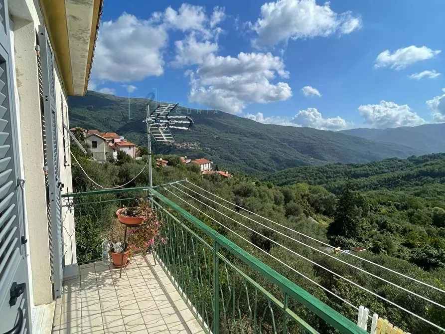 Immagine 45 di Casa indipendente in vendita  in Via Ville San Pietro a Borgomaro