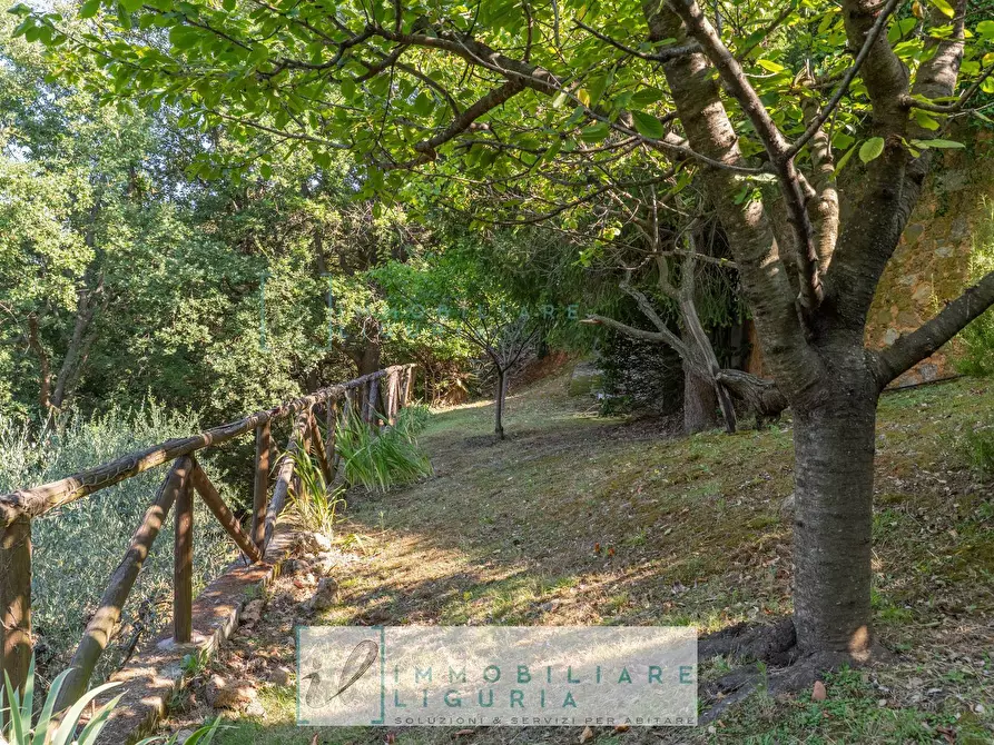 Immagine 3 di Villa in vendita  in via crociata a Cisano Sul Neva