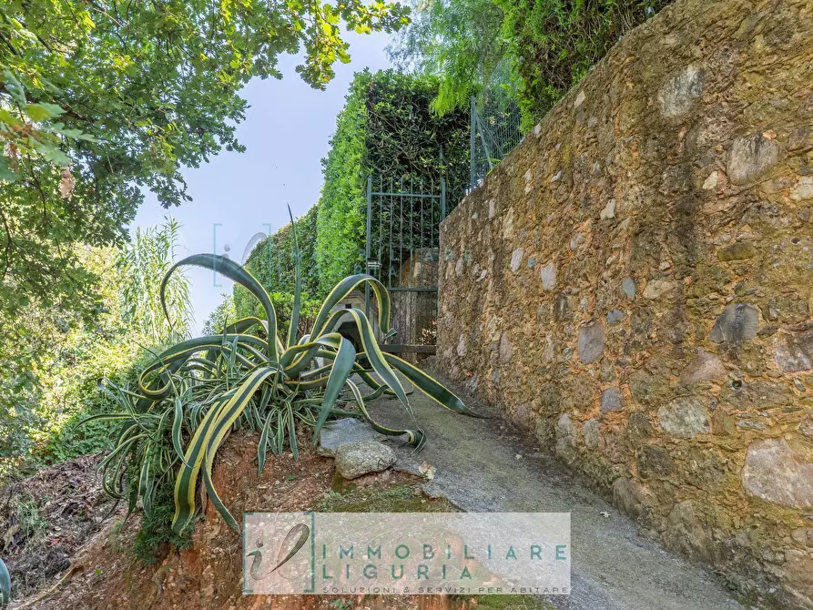 Immagine 4 di Villa in vendita  in via crociata a Cisano Sul Neva