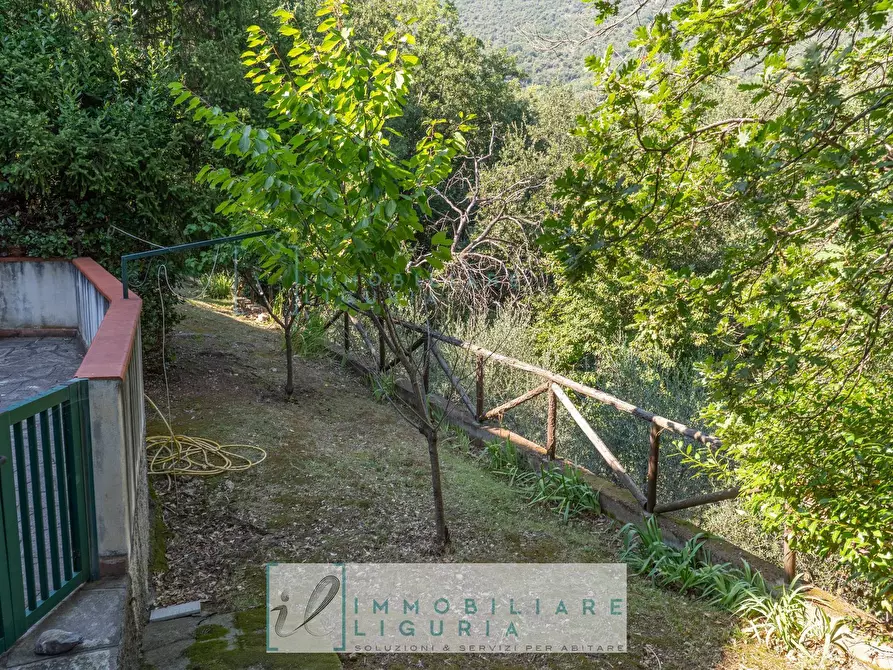 Immagine 5 di Villa in vendita  in via crociata a Cisano Sul Neva