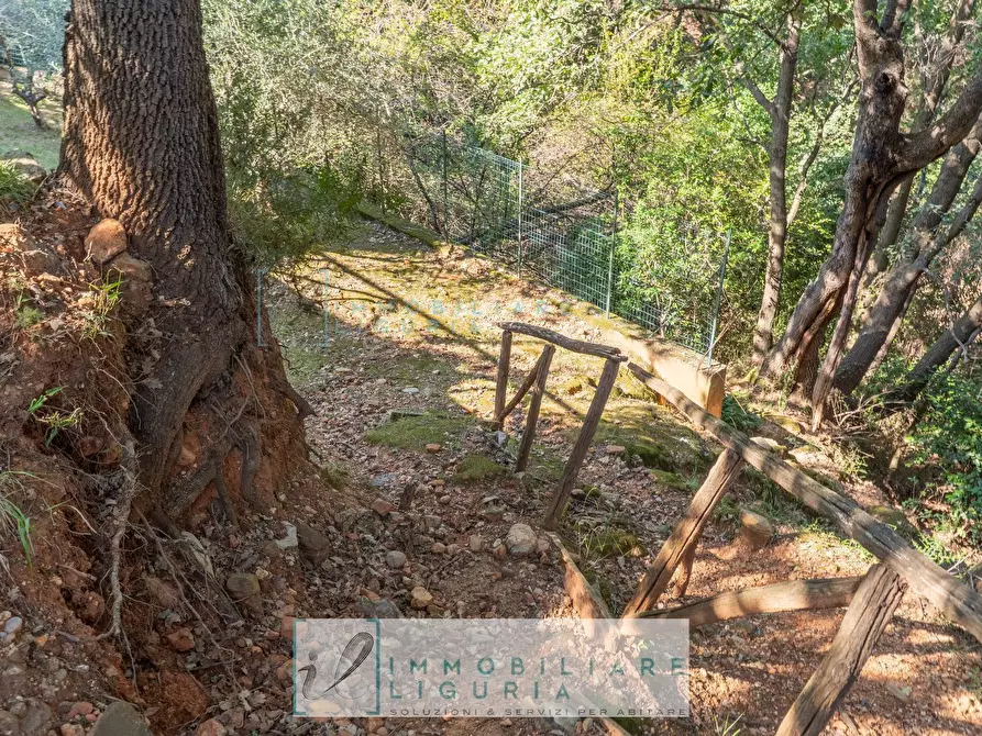 Immagine 6 di Villa in vendita  in via crociata a Cisano Sul Neva