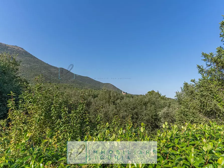 Immagine 53 di Villa in vendita  in via crociata a Cisano Sul Neva