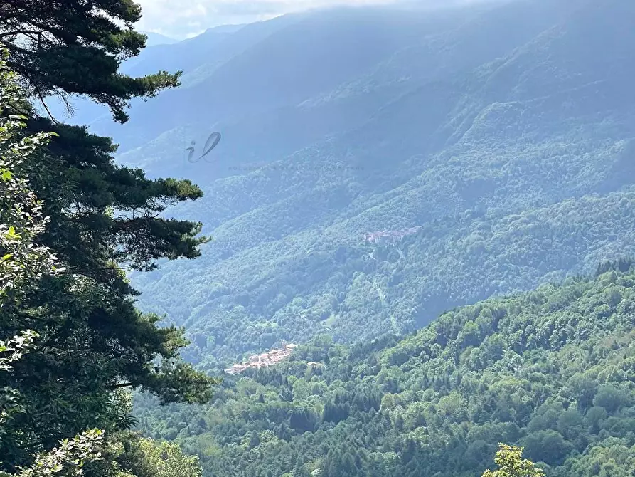 Immagine 24 di Casa indipendente in vendita  in Via San Bernardo a Mendatica