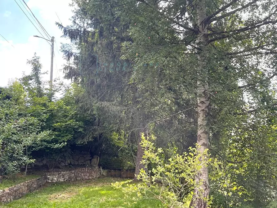 Immagine 31 di Casa indipendente in vendita  in Via San Bernardo a Mendatica