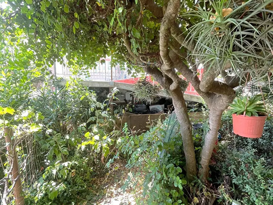 Immagine 6 di Appartamento in vendita  in Via per Aquila a Aquila D'arroscia